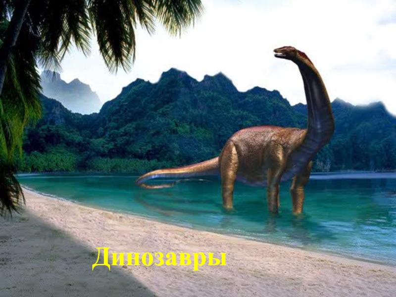 Динозавры (1 класс)