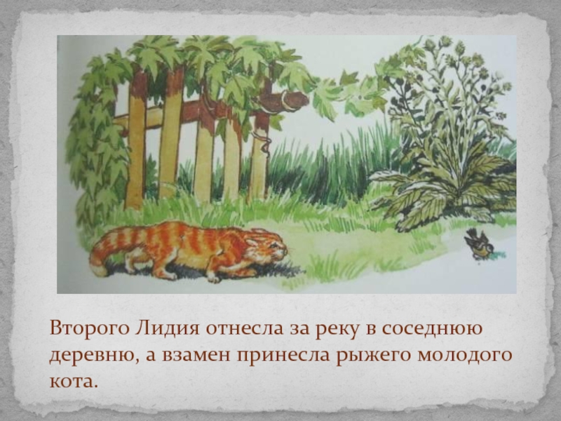 Второго Лидия отнесла за реку в соседнюю деревню, а взамен принесла рыжего молодого кота.