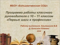 Программа работы классного руководителя с 10-11 классом 