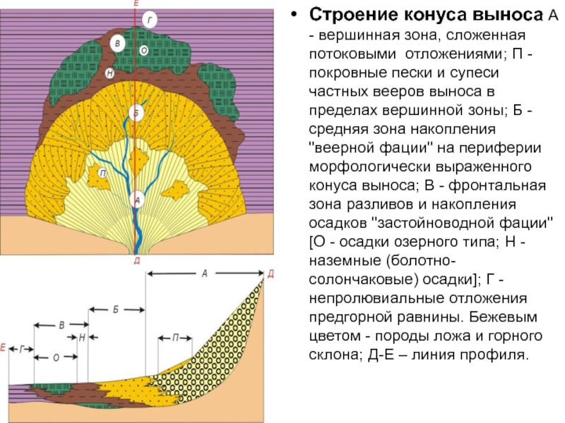 Процесс строения. Конус выноса Геология. Фации конусов выноса. Строение конуса выноса. ПРОЛЮВИАЛЬНЫЙ конус выноса.