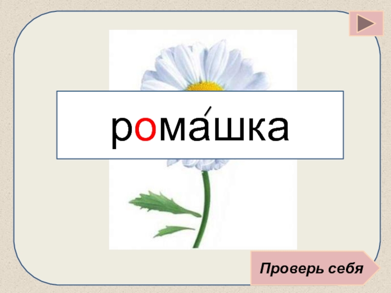 Ромашка буквами. Ромашка Словарная работа. Ребус Ромашка. Запомнить слово Ромашка. Словарные слова растения.