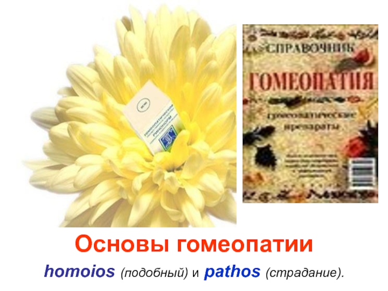 Презентация Основы гомеопатии
homoios (подобный) и pathos (страдание)