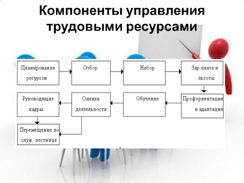 Трудовые ресурсы в проекте