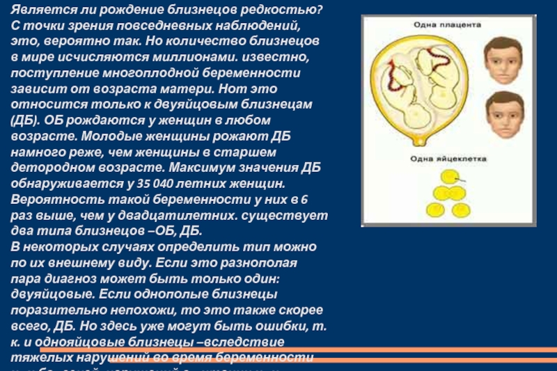 Вероятность близнецов. Вероятность рождения близнецов. Вероятно рождения близнецов. Вероятность родить двойню. Презентация Близнецы и близнецовый метод.