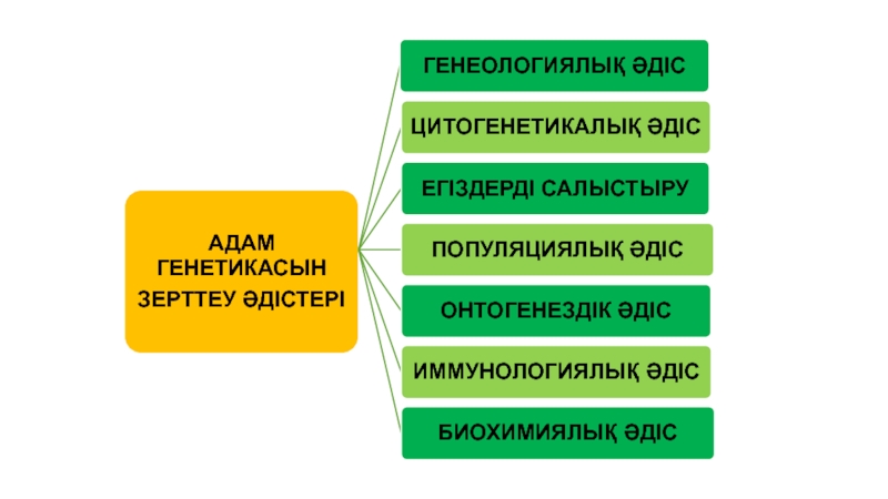 Презентация адам генетикасы