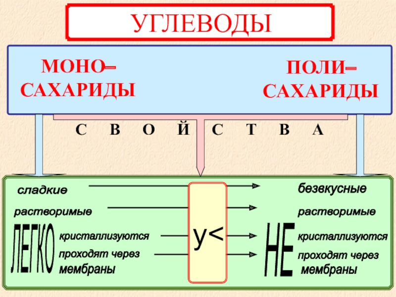 Углеводы моно. Сахариды. Растворимые углеводы. Углеводы биология 9 класс. Сахариды это.