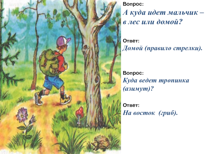 Идешь вопрос какой. Мальчик идет в лес. Куда идет мальчик. Куда пошел лес. Мальчик пошли в лес где.