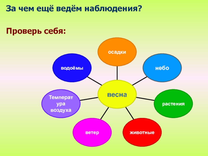 Вел наблюдение