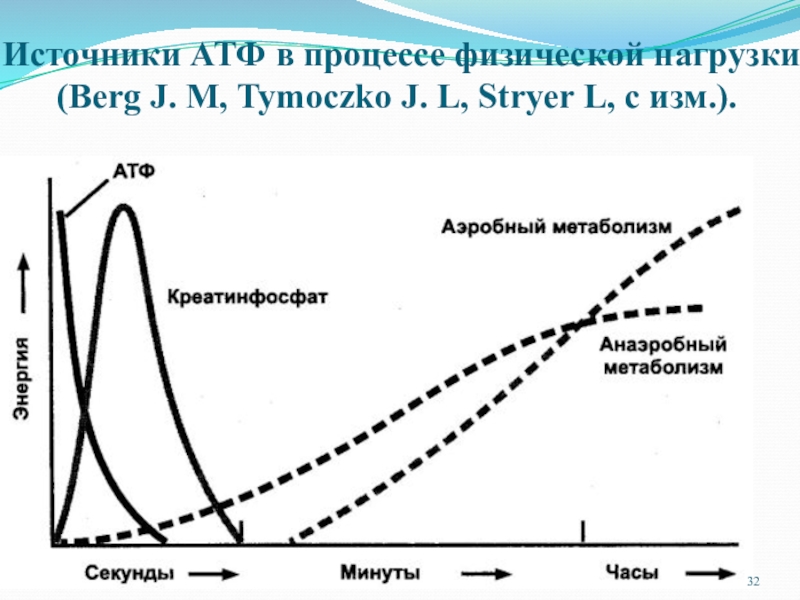Нагрузка физический процесс. Реакции на физическую нагрузку метаболизм. Золи динамическая биохимия. Дефицит АТФ после физической нагрузки. С дефицитом АТФ после тяжёлой физической нагрузки.