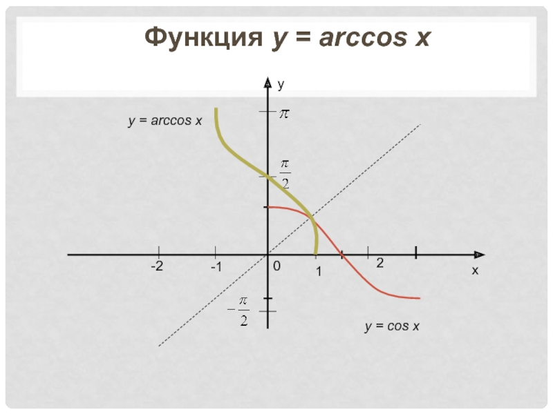 Cos arccos 0 2. Функция Arccos. График Arccos y. Arccos график функции. Функция Arccos и cos.