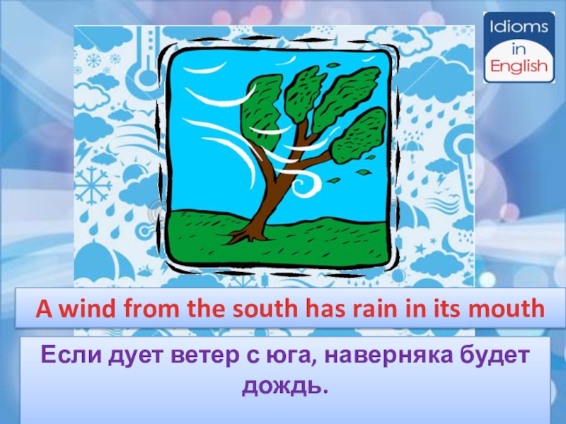 Ветер с юга. Weather idioms in English с презентация. A Wind from the South has Rain in its mouth. Ветер на английском языке. A Wind from the South has Rain in its mouth перевод пословицы на русский.