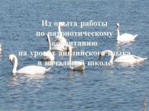 Из опыта работы по патриотическому воспитанию на уроках английского языка в начальной школе 3 класс