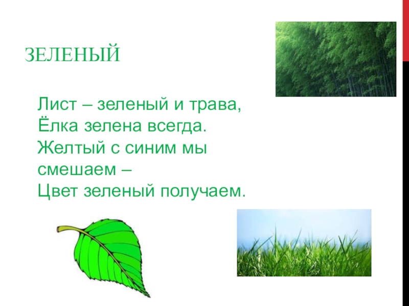 Зеленеет какое лицо. Зеленый цвет для презентации. Информация о зелёном цвете. История зеленого цвета. Лист зеленеет.