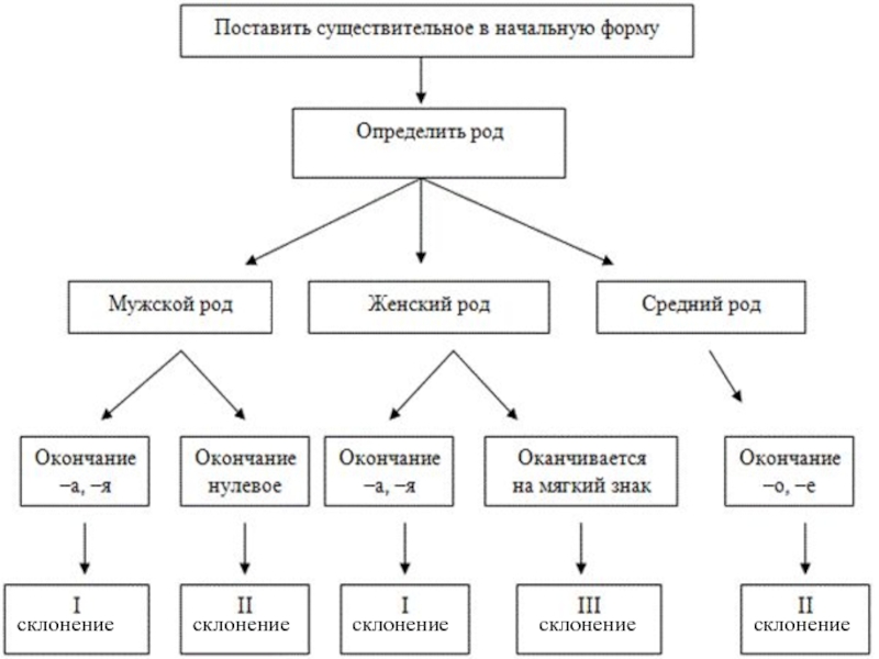 Блок схема род существительного