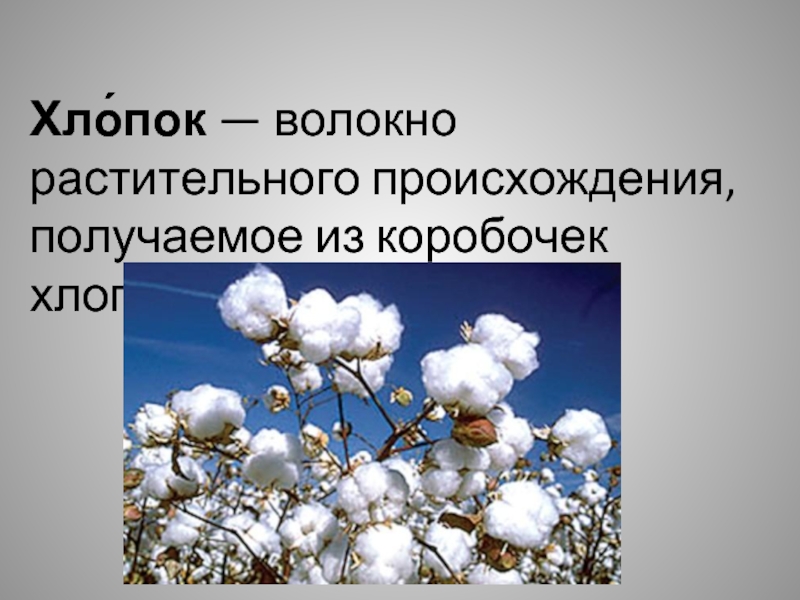 Волокна растительного происхождения. Натуральные волокна хлопок. Растительные волокна хлопок. Натуральные волокна растительного происхождения хлопок.