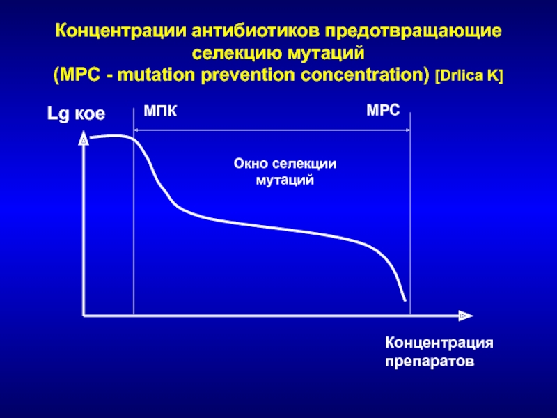 Концентрация антибиотика. Что такое концентрированный антибиотик. Окно селекции мутаций. Сублетальная концентрация антибиотика.
