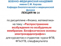 Распространение возбуждения