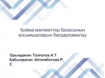 Қойма мәліметтер базасының қосымшаларын бағдарламалау