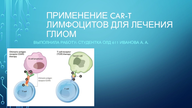 Презентация Применение CAR-T лимфоцитов для лечения глиом