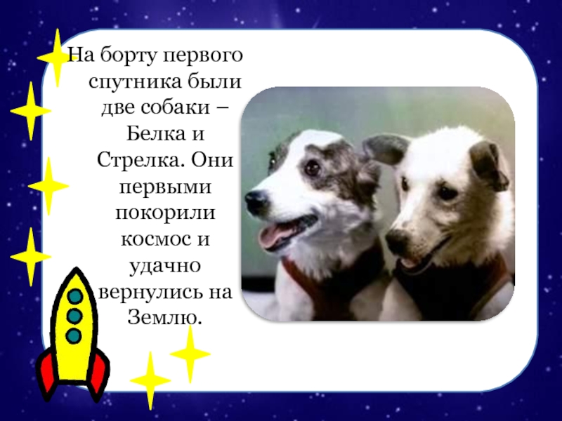 На борту первого спутника были две собаки – Белка и Стрелка. Они первыми покорили космос и удачно