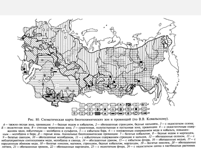 Ландшафтная карта ссср исаченко