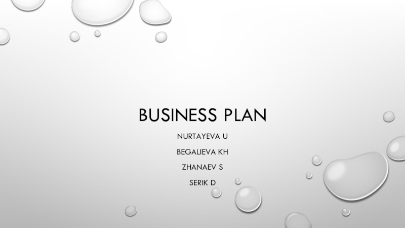 Презентация Business plan