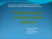 Обмен веществ и превращение энергии