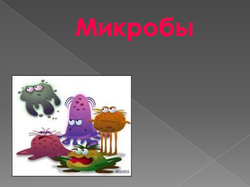 Презентация Микробы