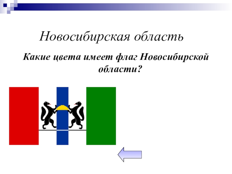 Новосибирская областьКакие цвета имеет флаг Новосибирской области?