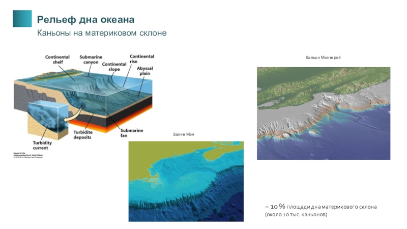 Рельеф на дне океана