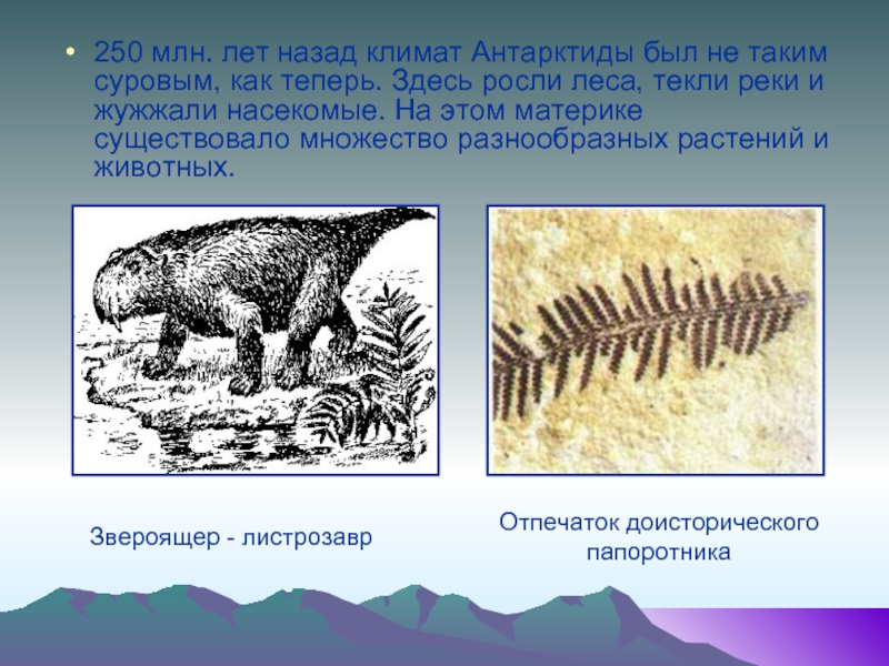 Млн лет назад. 250 Млн лет назад. Антарктида много миллионов лет назад. 50 Миллионов лет назад. 600 Миллионов лет назад.