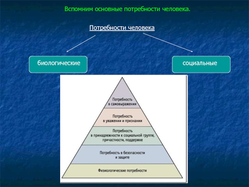 Базовые потребности. Основные потребности человека. Основные человеческие потребности. Фундаментальные потребности человека. Основные базовые потребности человека.