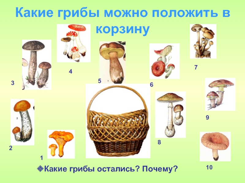 Какие грибы можно положить в корзинуКакие грибы остались? Почему?12345678910