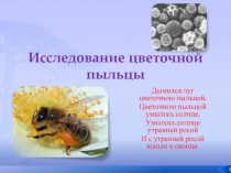 Исследовательская работа «Исследование цветочной пыльцы»