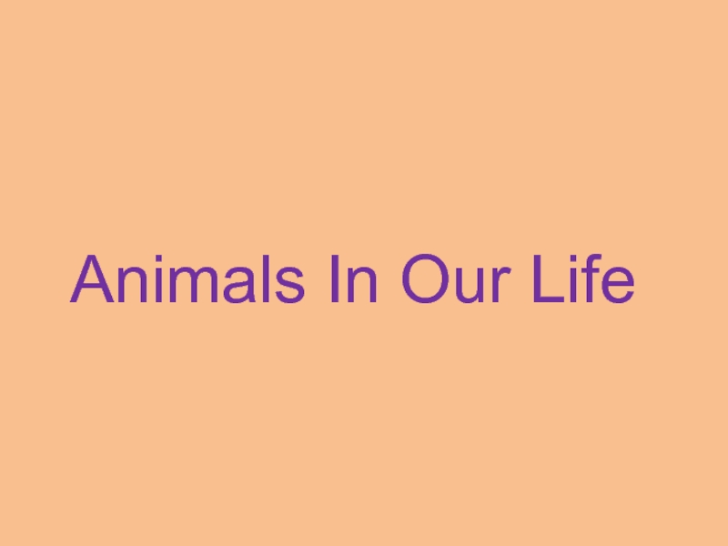 Презентация Animals In Our Life