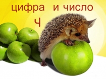 цифра и число