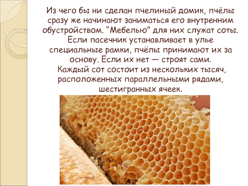 Что делают пчелы. Из чего состоит пчелиная рамка. Из чего состоят соты пчелиные. Из чего сделать пчелу. Что делают пчёлы?.