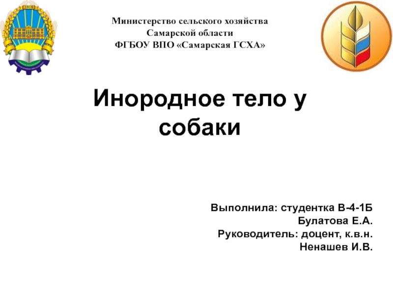 Презентация Инородное тело у собаки
Министерство сельского хозяйства Самарской