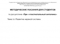 Государственное бюджетное образовательное учреждение высшего профессионального