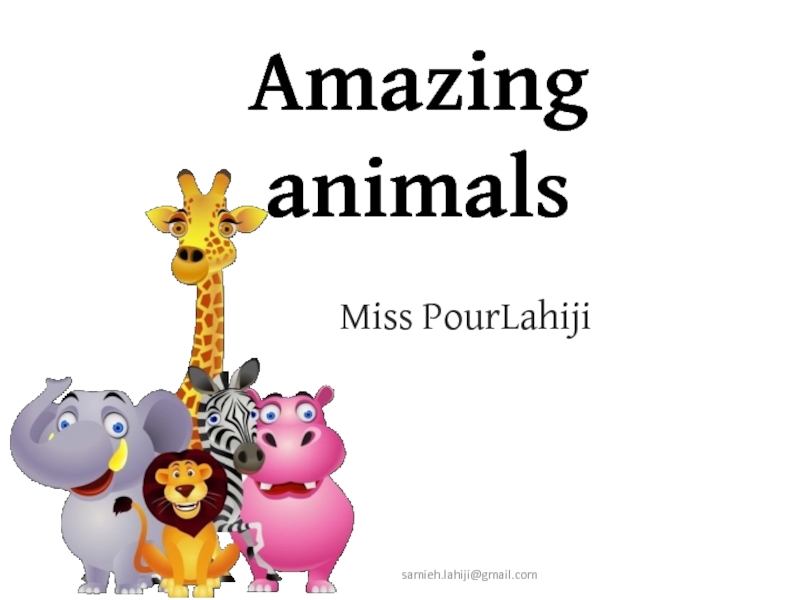Презентация Amazing animals