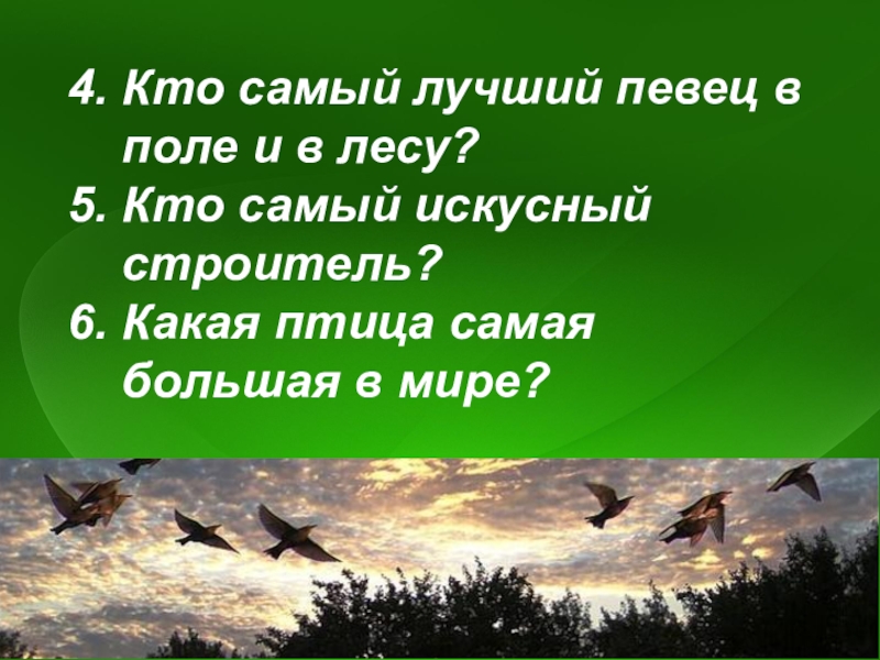 Какие птичьи тайны раскрывает листопад. Тайны птичьего царства. Кто самый лучший певец из птиц. Кто лучший певец в лесу.