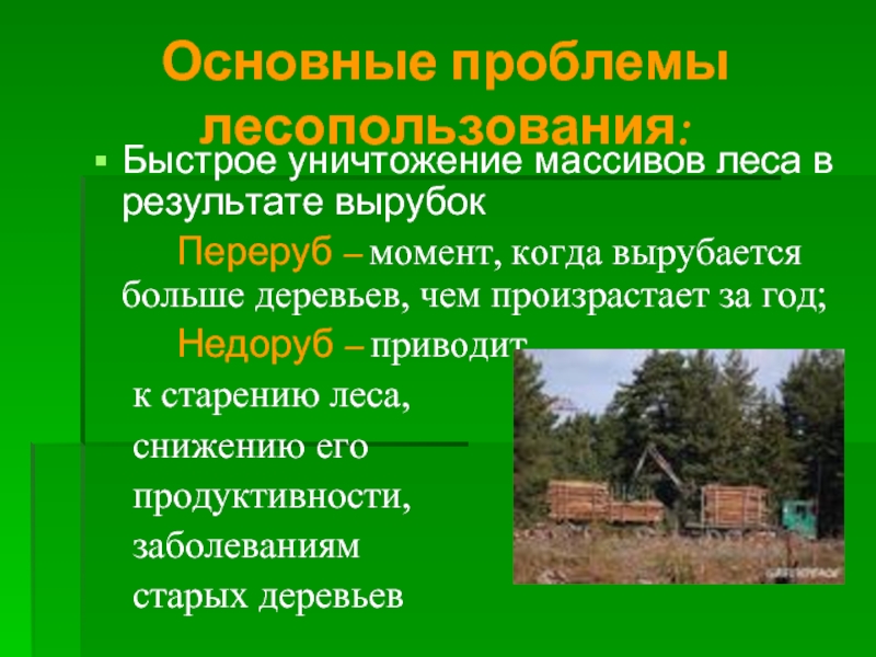 Документы лесопользователя. Проблемы лесопользования. Основные проблемы лесопользования. Лесопользование презентация. Современные проблемы лесопользования.