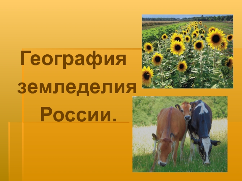 Растениеводство России