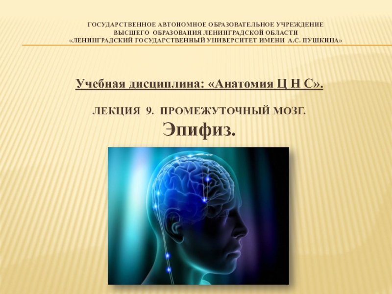 Государственное Автономное образовательное учреждение высшего образования