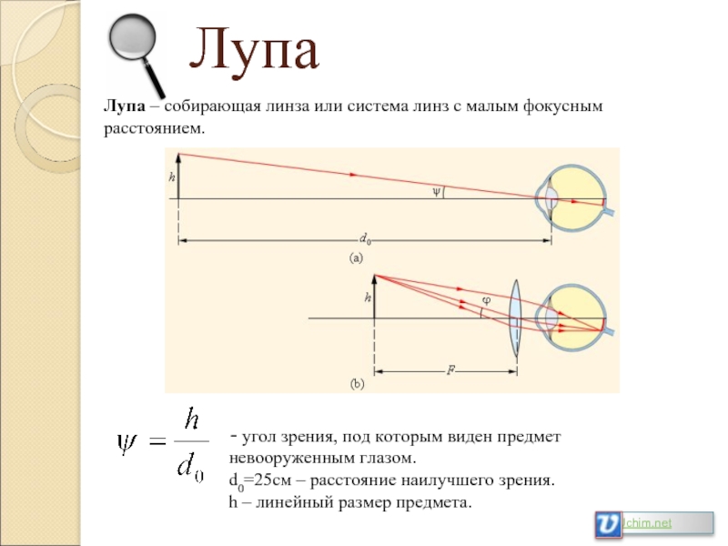 Линейный размер изображения предмета