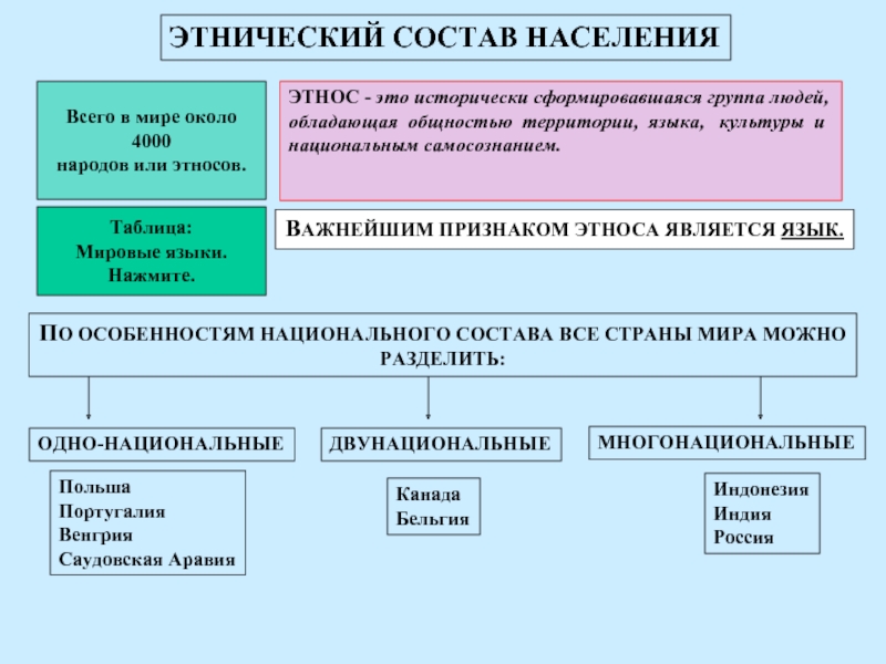 Этнический состав кореи