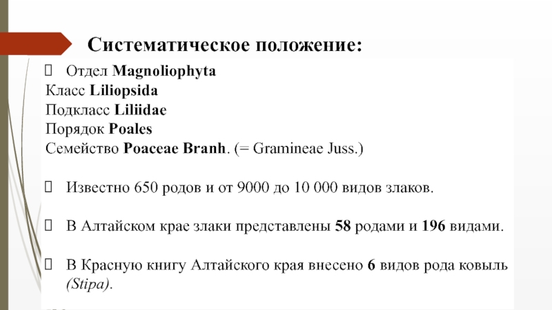 Семейство Злаковые ( Роасеае Barnh.) Отдел MagnoliophytaКласс Liliopsida Подкласс Liliidae Порядок Poales Семейство Poaceae Branh. (= Отдел MagnoliophytaКласс Liliopsida Подкласс Liliidae Порядок Poales Семейство Poaceae Branh. (= Gramineae Juss.) Известно 650 родов и