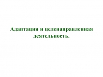 Адаптация и целенаправленная деятельность