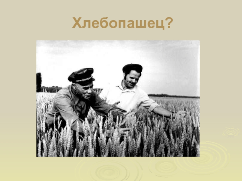 Издание о хлебопашцах. Вольные хлебопашцы картина. Хлебопашец фото. Хлебопашец 20 век. Хлебопашцы 19 век.