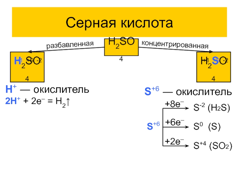 Реакция разбавленной серной кислоты с серой. Схема взаимодействия концентрированной серной кислоты с металлами. Реакции с разбавленной серной кислотой примеры.
